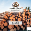 Stammholz Eiche – LKW-Ladung flexibel (20 RM oder 40 RM)
