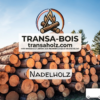 Stammholz Nadelholz – LKW-Ladung flexibel