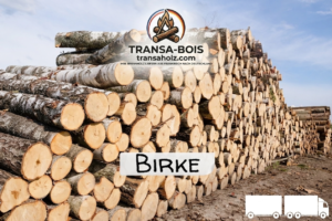 Stammholz Birke – LKW-Ladung flexibel (20 RM oder 40 RM)