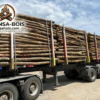 Aktionssortiment Buche / Esche – LKW-Ladung (ca. 45 RM)